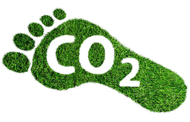 Carbon Footprint of Industrial Nation and Climate Change